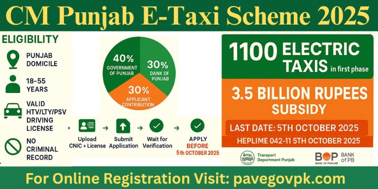 CM Punjab E-Taxi Scheme 2025