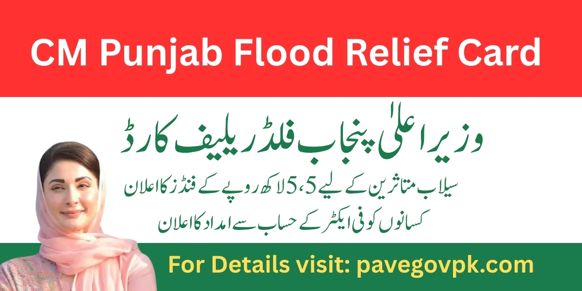 CM Punjab Flood Relief Card