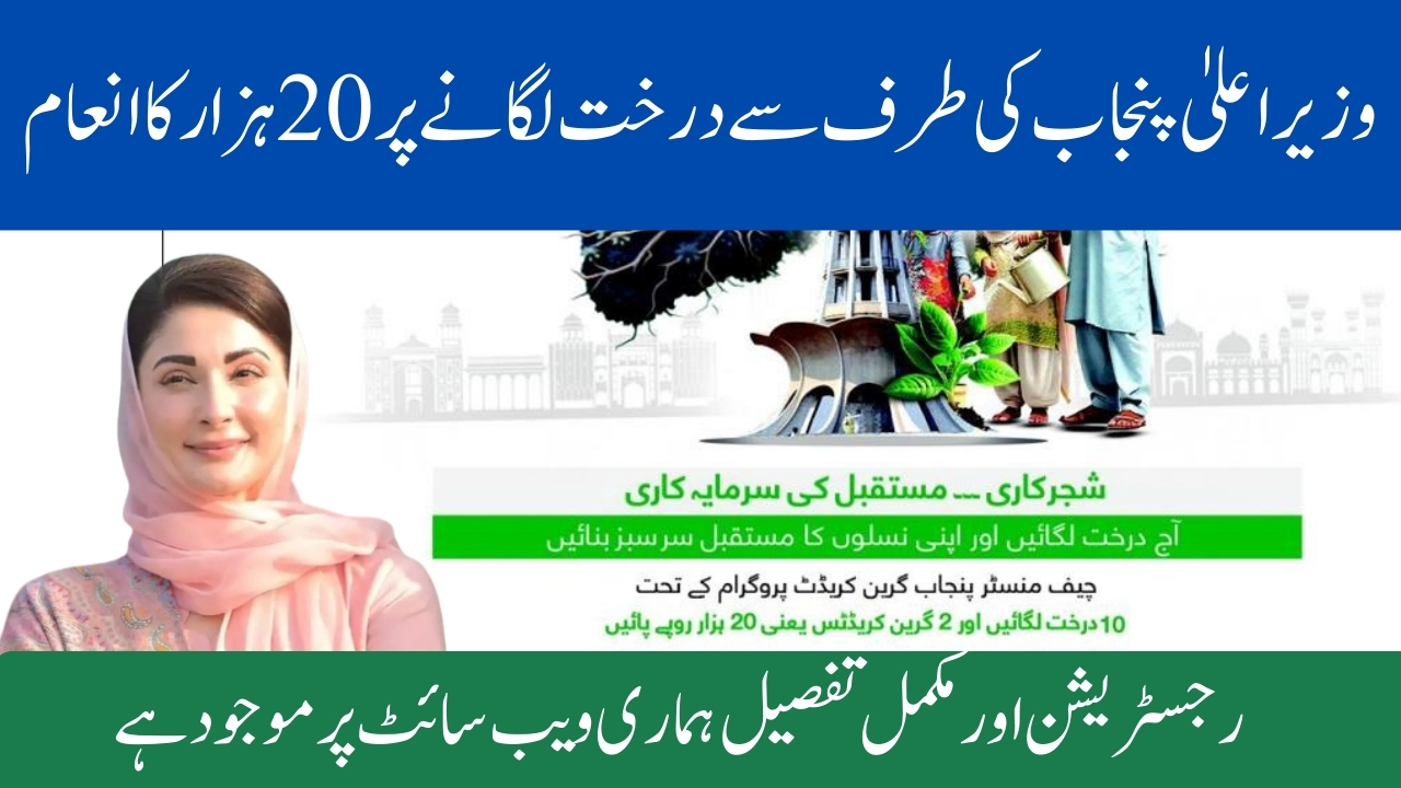 greencredit.punjab.gov.pk Punjab Green Credit Program to Earn 20,000
